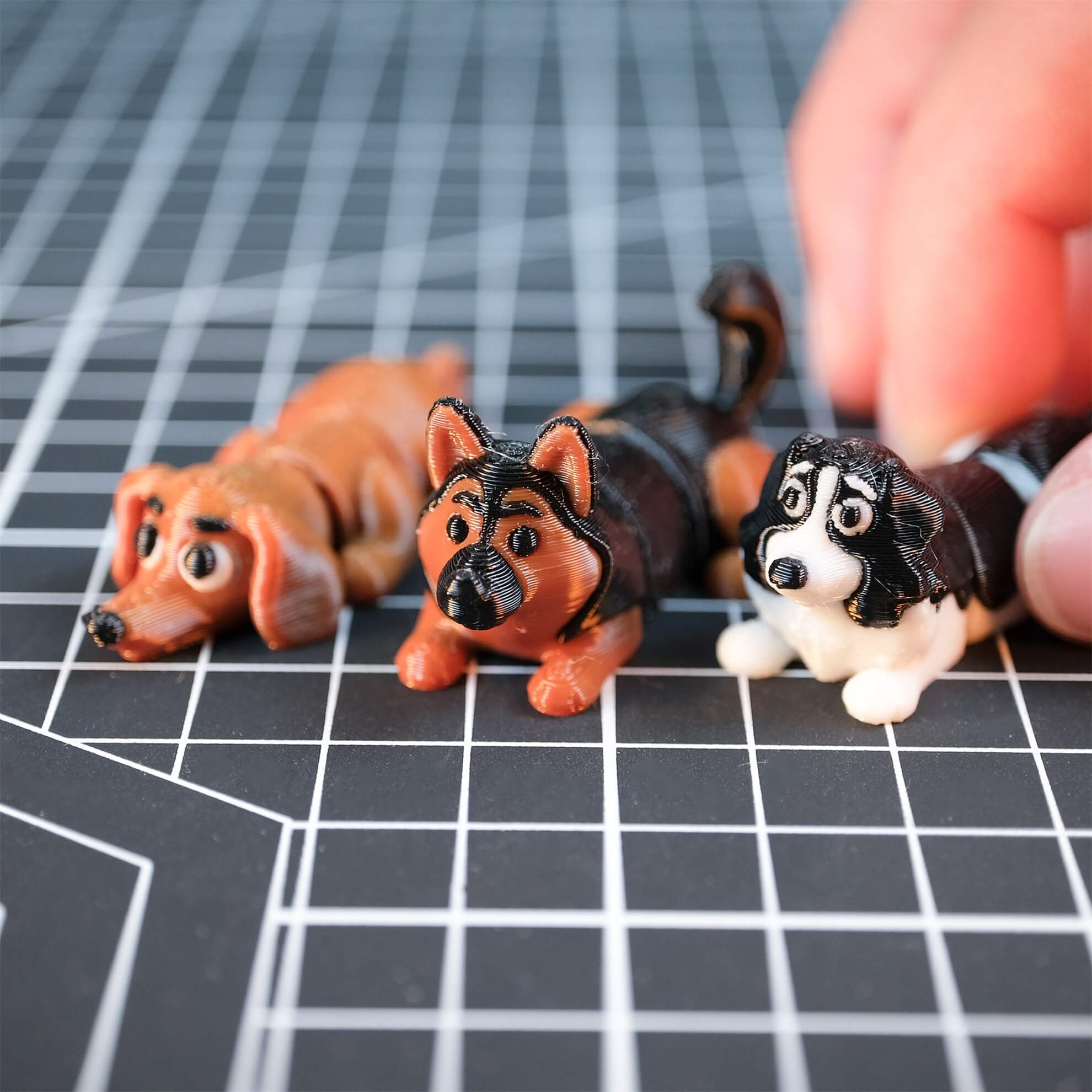 Flexi Dog Set 01